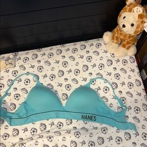 Hanes Aqua Blue Bralette